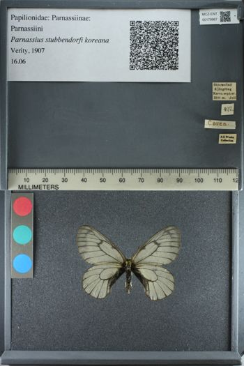 Media type: image;   Entomology 179967